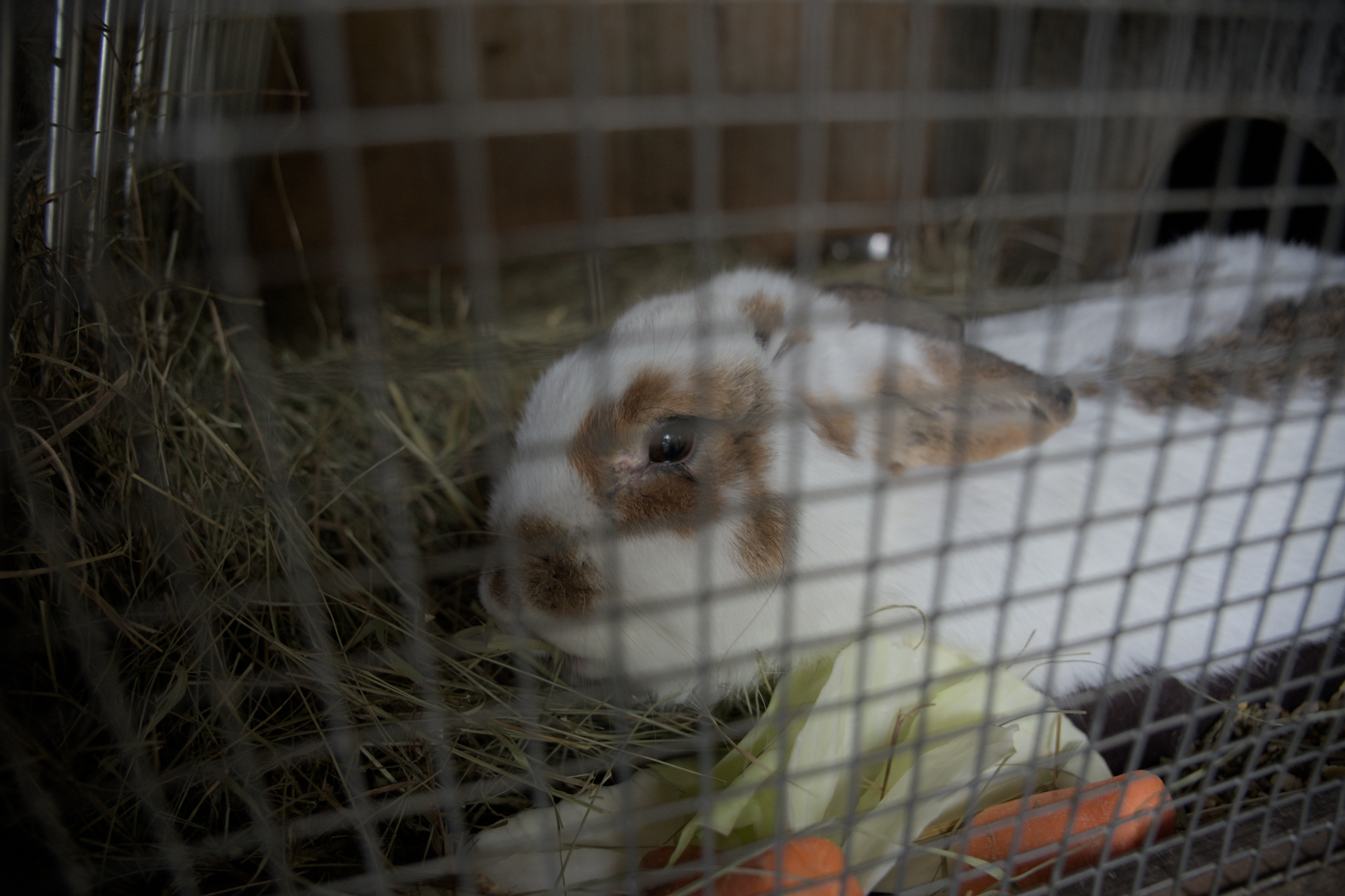 2025/10/12 - zoo/DSC_0361.jpg